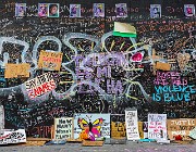 Roses Are Red 20-9217